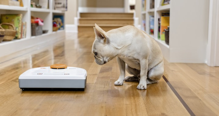 Робот пылесос Neato BotVac