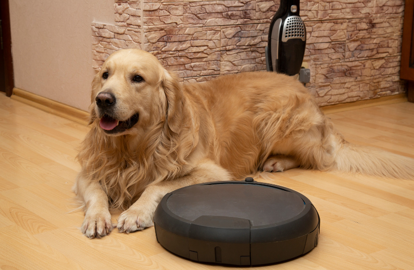 Робот-пылесос